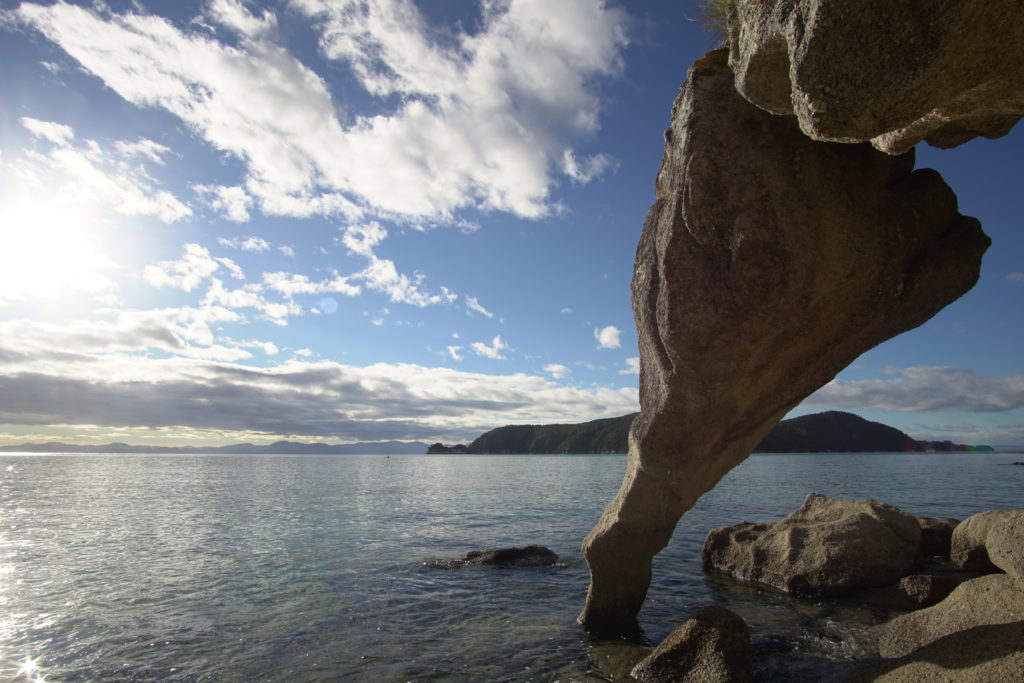 Elefantino di Abel Tasman