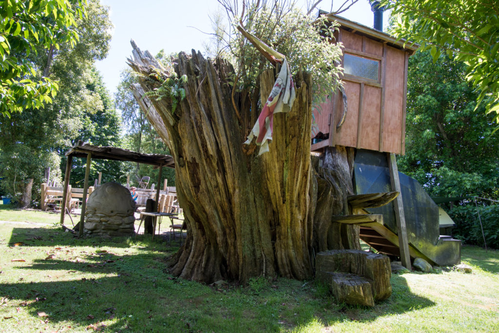 Il bagno sull'albero